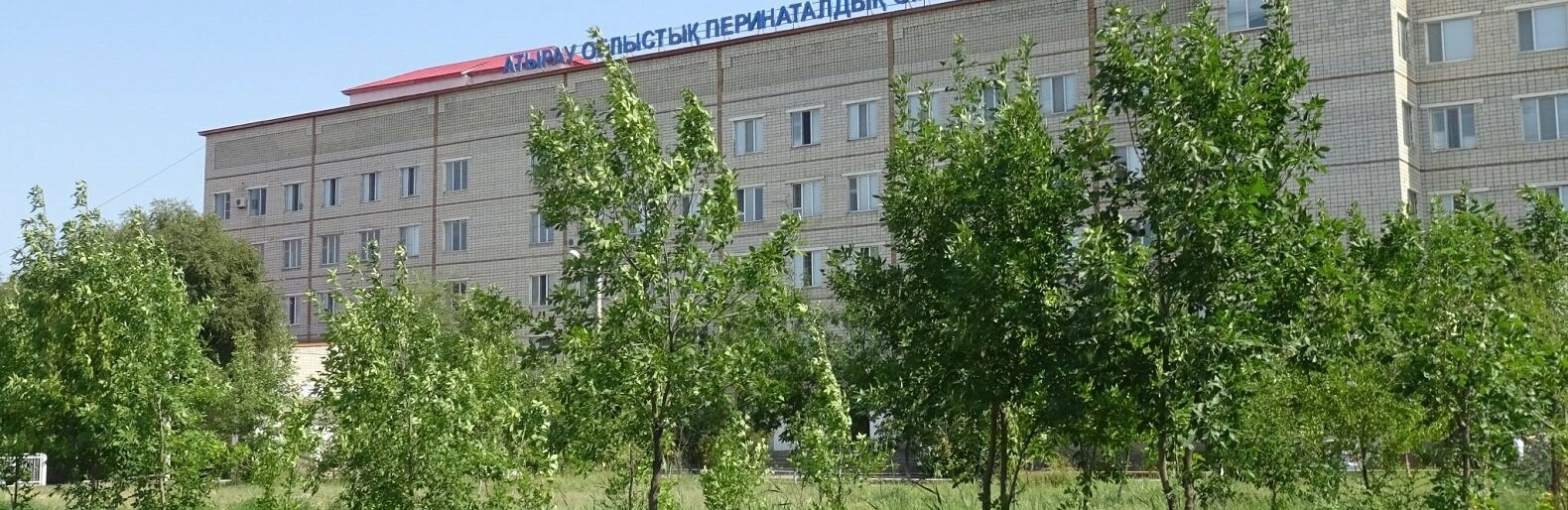 Фото: @roddom-atyrau.kz Фото: @roddom-atyrau.kz, Ирина Логвинова